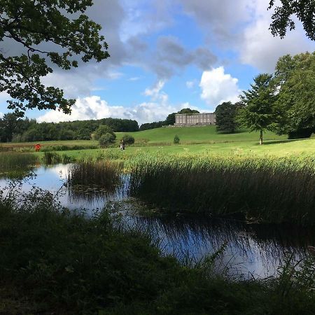 Curraghchase Cottage Kilcornan Kültér fotó